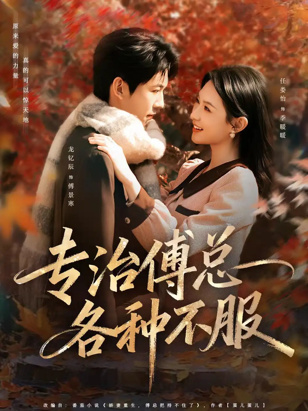 《专治傅总各种不服（80集）龙钇辰＆任娄怡》短剧全集免费在线看
