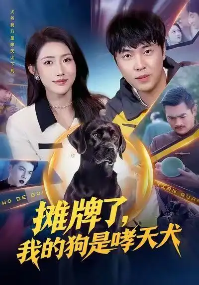 《摊牌了，我的狗是哮天犬（98集）刘晨宇&张如意》短剧全集免费在线看