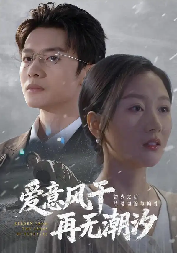 《爱意风干再无潮汐（69集）程汁&魏梦迪&蔡长源》短剧全集免费在线看