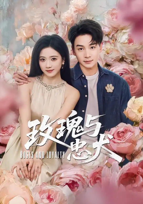 《玫瑰与忠犬（80集）范高坡＆雯婕》短剧全集免费在线看