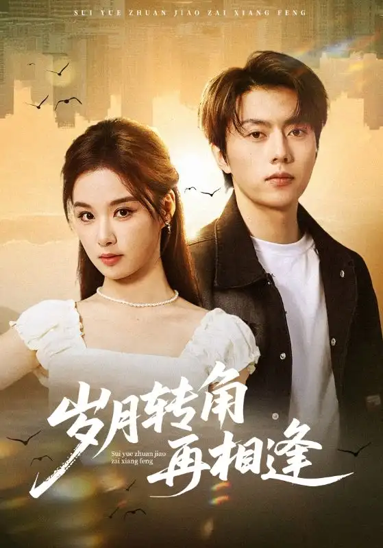 《岁月转角再相逢（80集）张磊&王宇婧》短剧全集免费在线看