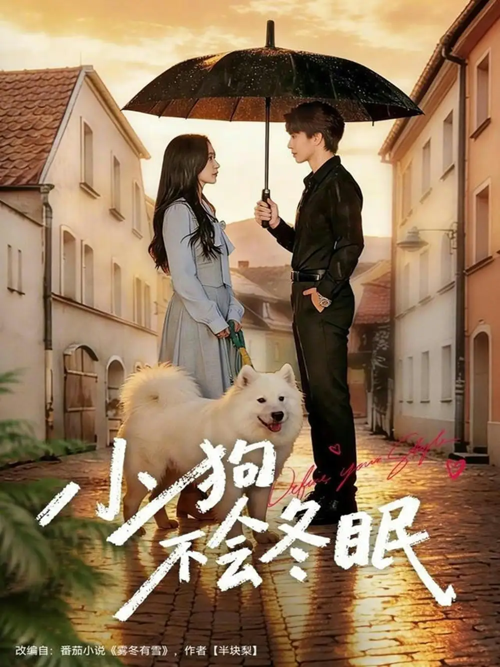 《小狗不会冬眠（70集）张皓文＆乔槿》短剧全集免费在线看