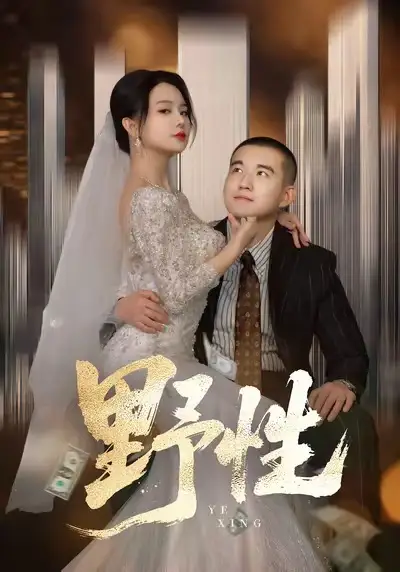 《野性＆分手后，顶头上司要嫁我（70集）阎论＆梦露》短剧全集免费在线看