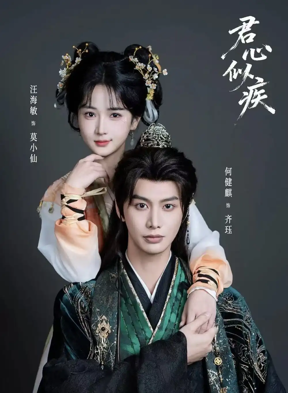 《君心似疾（80集）何健麒&汪海敏》短剧全集免费在线看