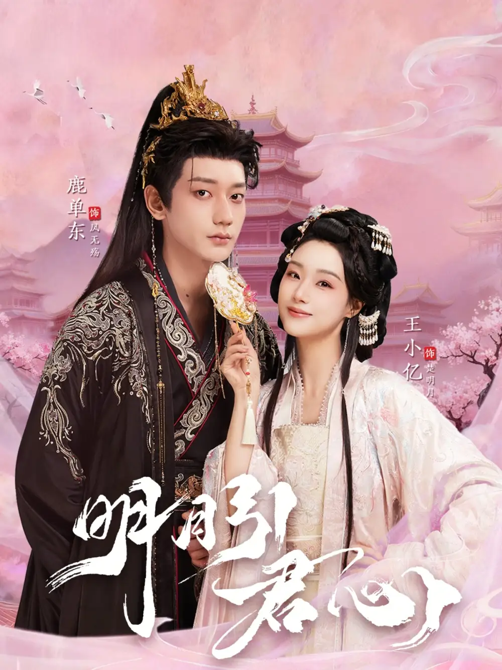 《明月引君心（74集）王小亿&鹿单东》短剧全集免费在线看