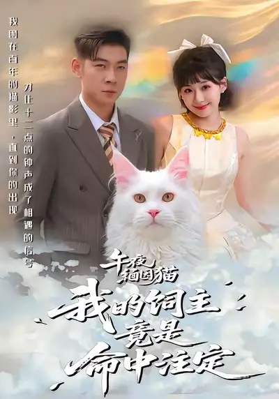 《午夜缅因猫我的饲主竟是命中注定（66集）白龙＆王之遥》短剧全集免费在线看