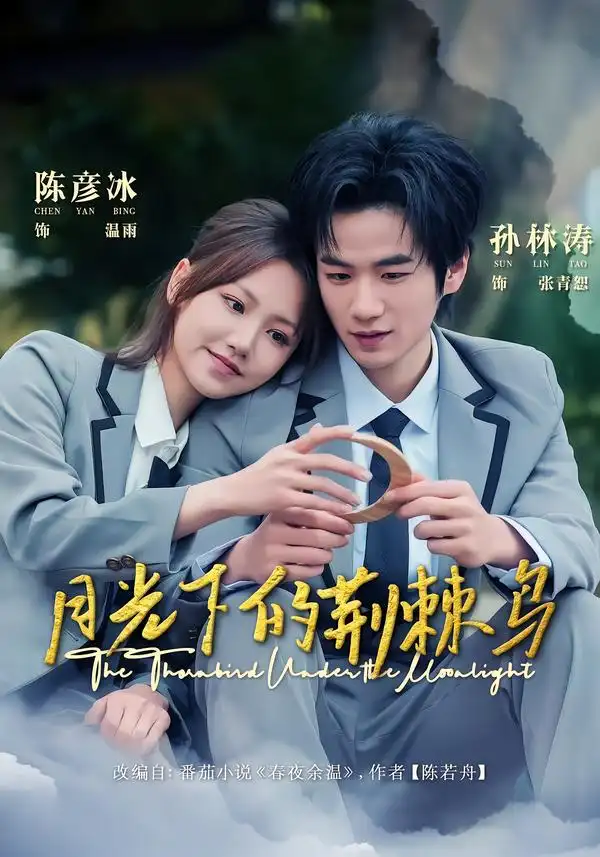 《月光下的荆棘鸟（80集）陈彦冰＆孙林涛》短剧全集免费在线看