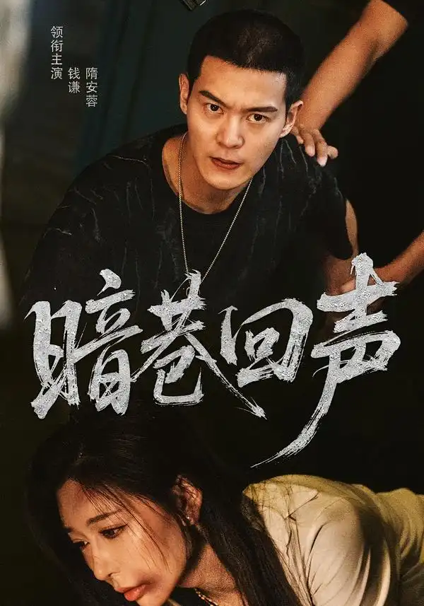 《暗巷回声（100集）隋安蓉&钱谦》短剧全集免费在线看