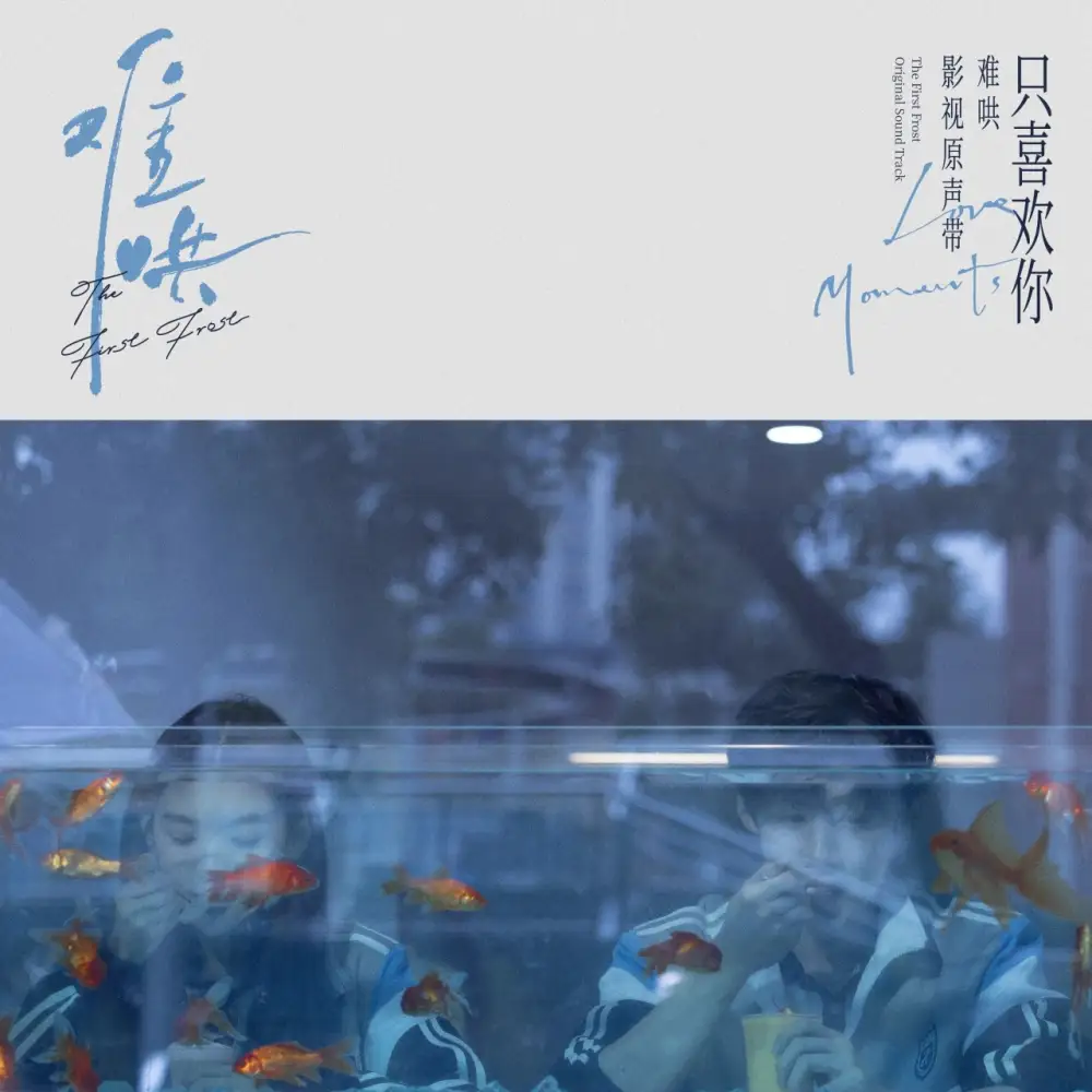 《《群星.2025 - 难哄 影视原声带【FLAC分轨】》》短剧全集免费在线看