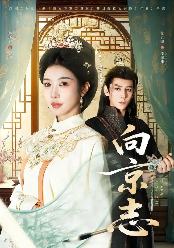 《向京志（80集）张添景＆林琦婷》短剧全集免费在线看