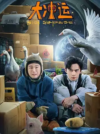 《大冲运（16集）赵佳》短剧全集免费在线看