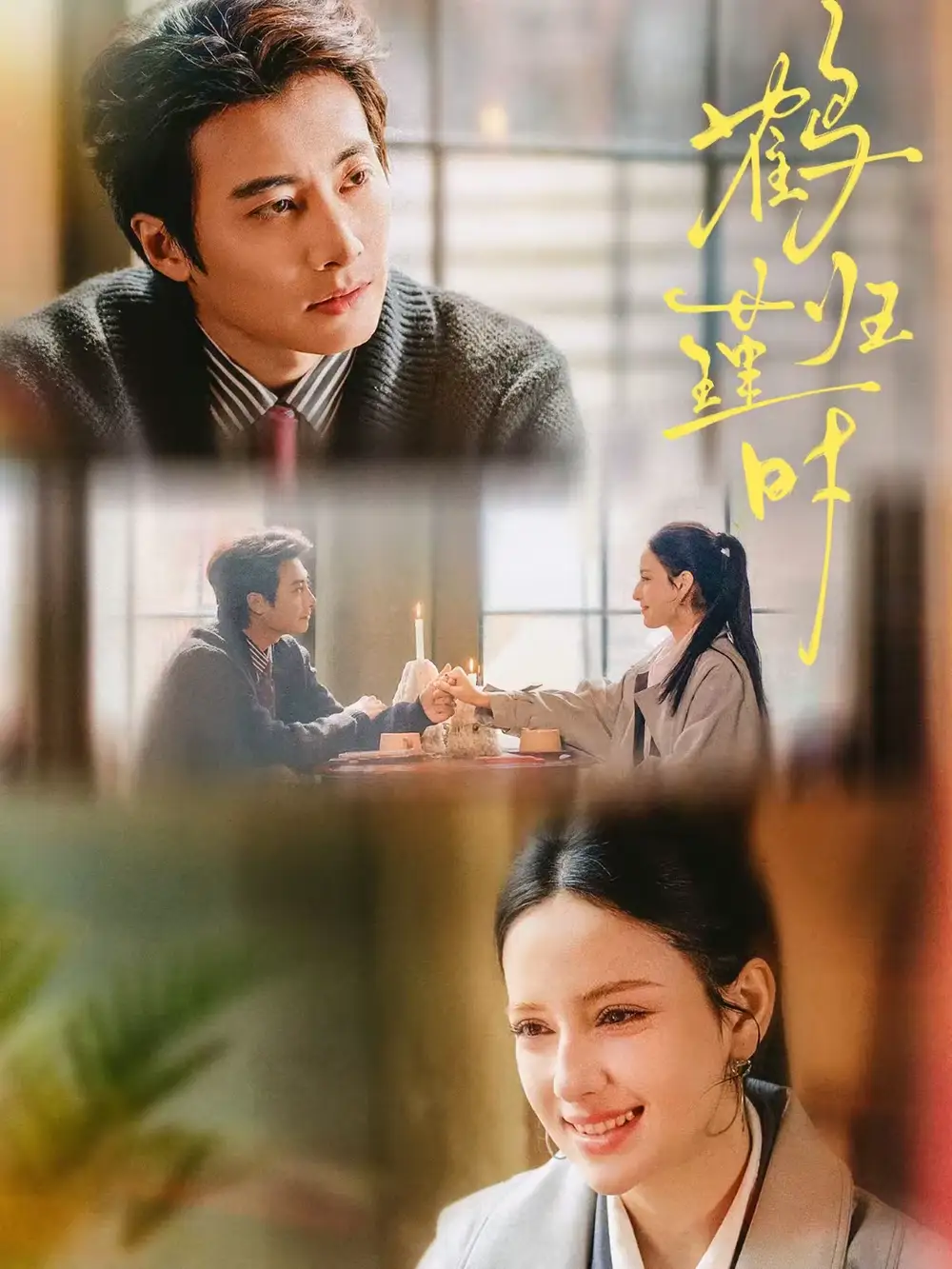《鹤归瑾时（81集）淮文＆阿依夏》短剧全集免费在线看