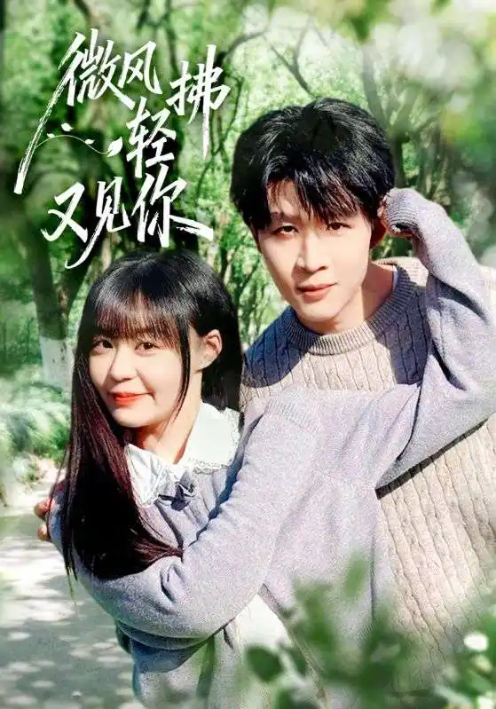 《微风轻拂又见你（66集）王雨博&孙蔚琳》短剧全集免费在线看