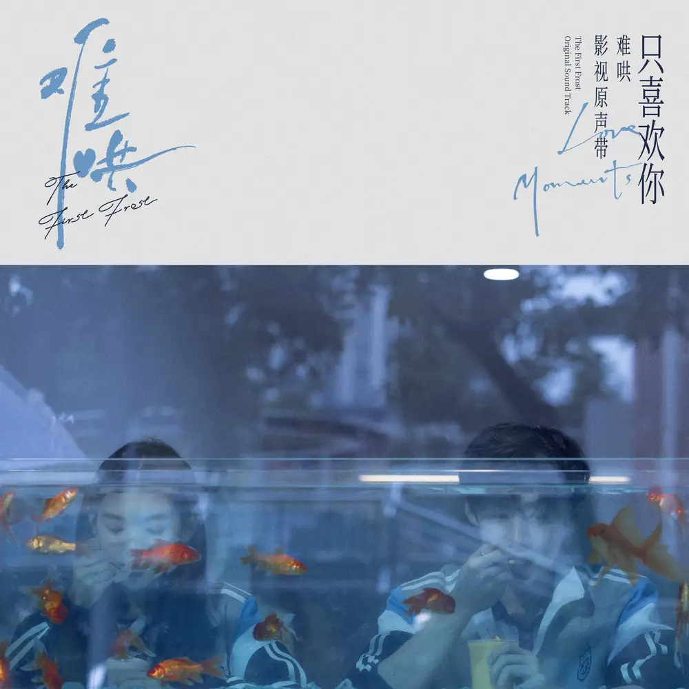 《《群星 - 电视剧难哄影视原声带·只喜欢你Love Moments》》短剧全集免费在线看