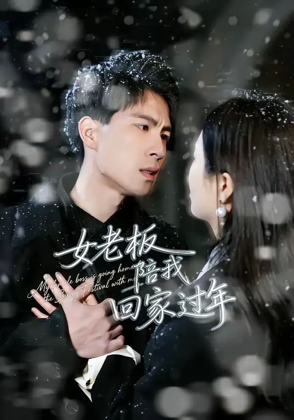 《女老板陪我回家过年（40集）罗珊珊＆贺翔》短剧全集免费在线看
