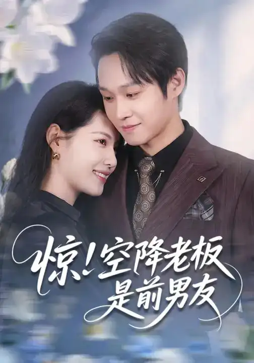 《惊！空降老板是前男友（65集）董洁&王金泽》短剧全集免费在线看
