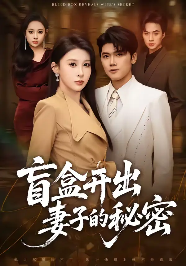 《盲盒开出妻子的秘密（40集）林嘉翊＆张灵钰》短剧全集免费在线看