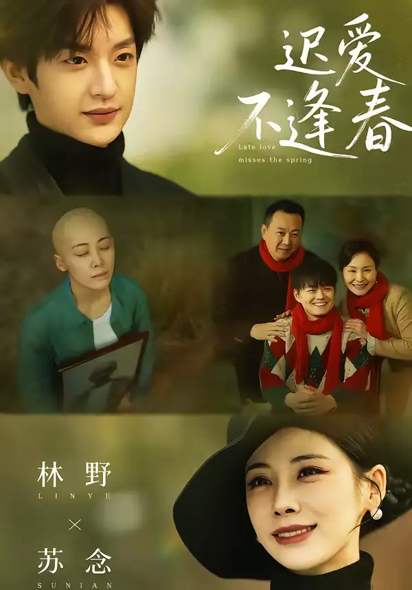 《迟爱不逢春（62集）魏澊＆钟小淇》短剧全集免费在线看