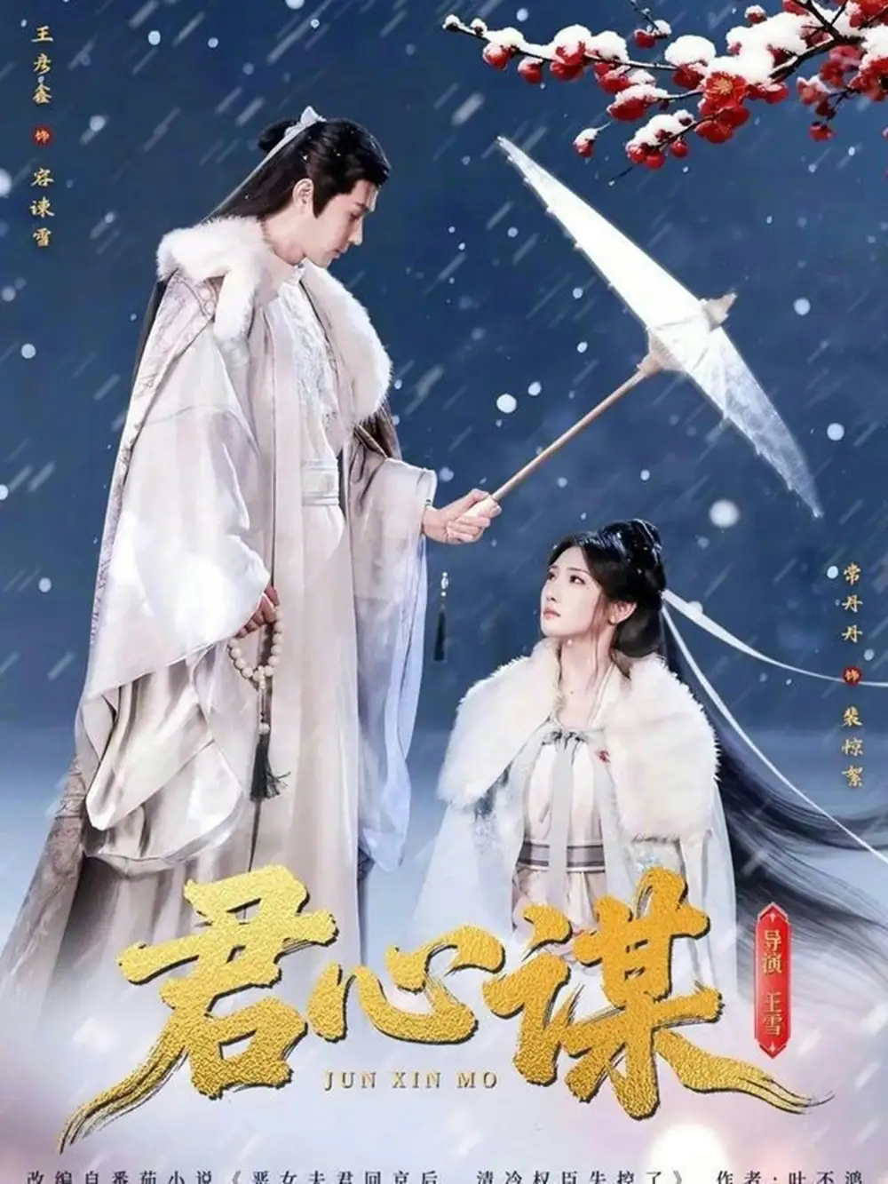 《君心谋（80集）王彦鑫＆常丹丹》短剧全集免费在线看