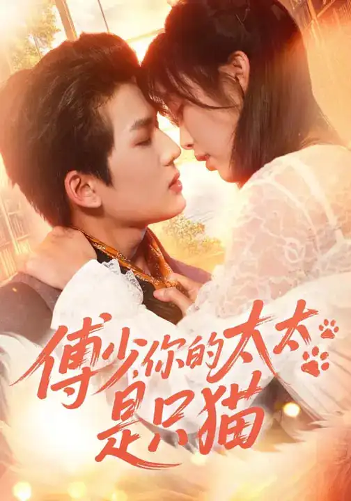 《傅少，你的太太是只猫（64集）赵偲佟&向明》短剧全集免费在线看