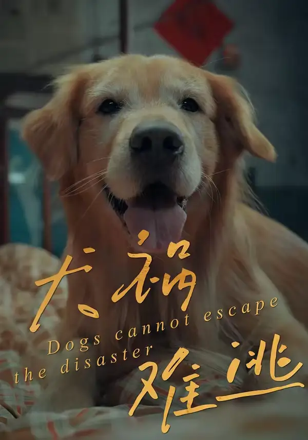 《犬祸难逃（33集）刘丹＆青哥》短剧全集免费在线看