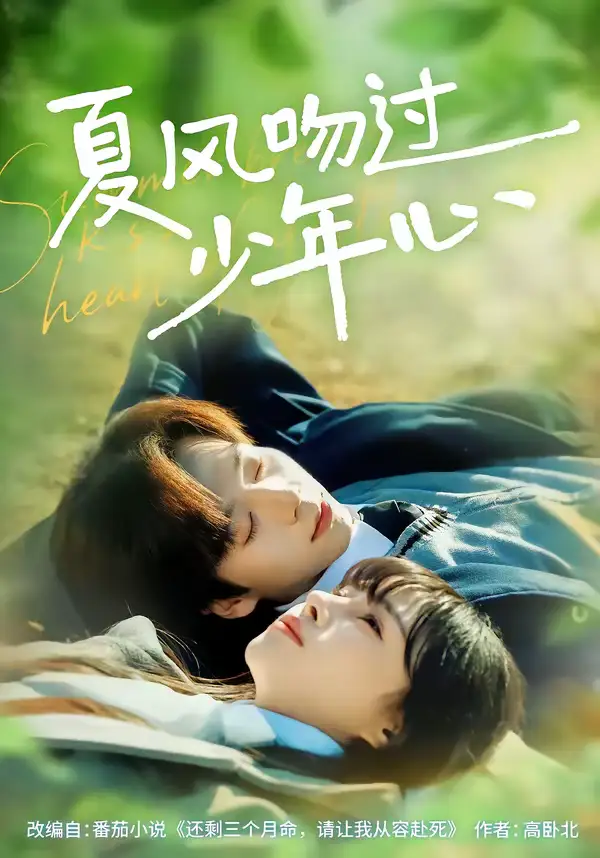 《夏风吻过少年心（76集）张文浩＆顾雨欣》短剧全集免费在线看