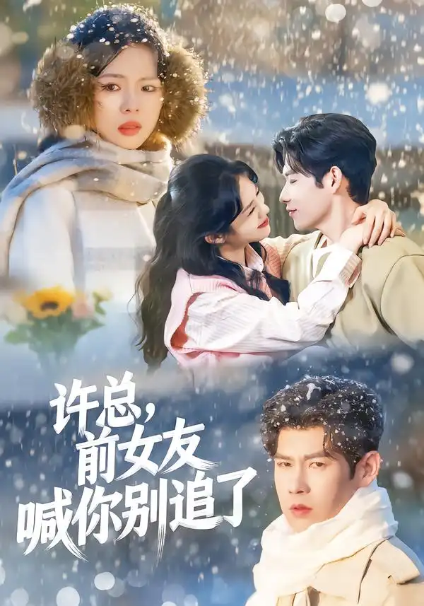《许总，前女友喊你别追了（80集）王淮璟＆麦伢》短剧全集免费在线看