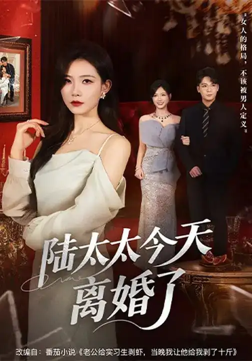 《陆太太今天离婚了（59集）刘灿&丁敬一》短剧全集免费在线看