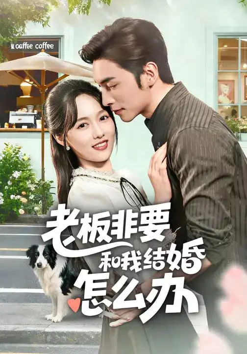 《老板非要和我结婚怎么办（50集）王博&李媛菁》短剧全集免费在线看