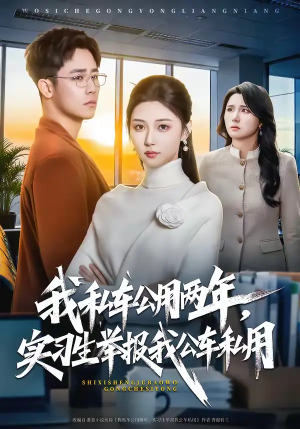 《我私车公用两年，实习生举报我公车私用（63集）程雅昭＆车婷婷》短剧全集免费在线看