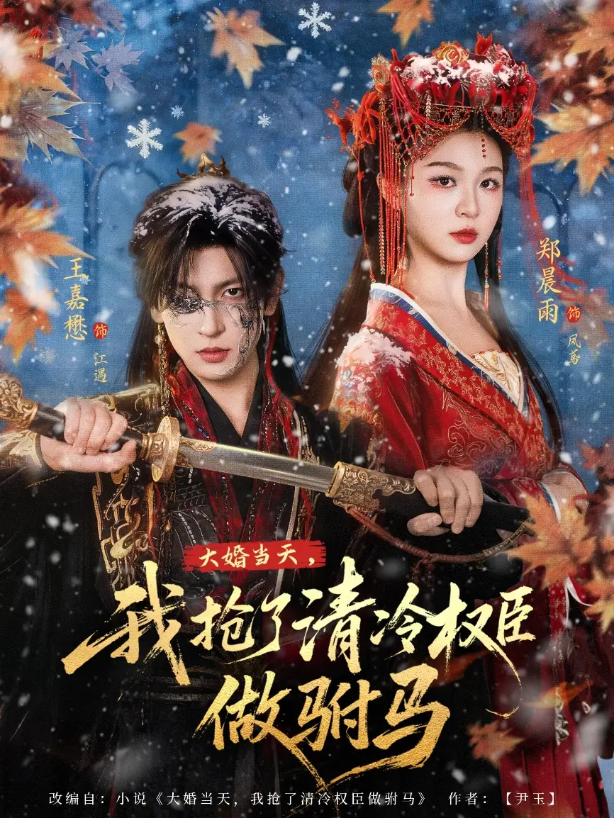 《大婚当天，我抢了清冷权臣做驸马（73集）王嘉懋＆郑晨雨》短剧全集免费在线看