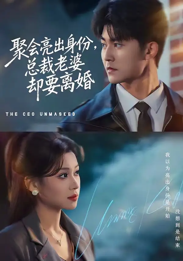 《聚会亮出身份，总裁老婆却要离婚（81集）梅子健＆任柏玉》短剧全集免费在线看