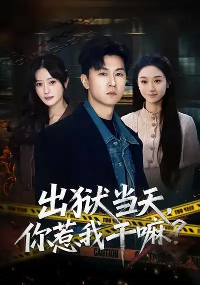 《出狱当天，你惹我干嘛？（62集）王鹏&郑皓月》短剧全集免费在线看