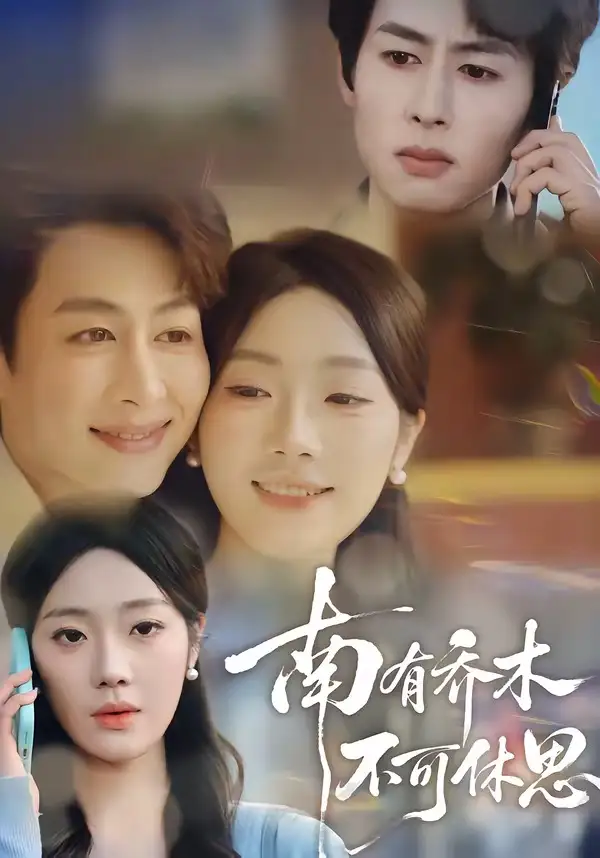《南有乔木，不可休思（68集）邢航铭&孔祥东》短剧全集免费在线看