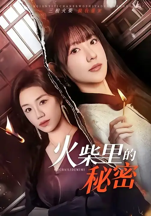 《火柴里的秘密（75集）顾书齐&李河源》短剧全集免费在线看