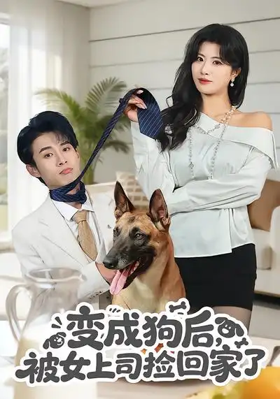 《变成狗后，被女上司捡回家了（57集）夏已傲&黄宁馨》短剧全集免费在线看