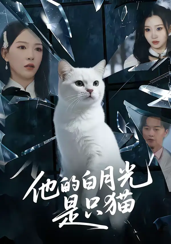 《他的白月光是只猫（69集）陈家豪＆葛晓希》短剧全集免费在线看