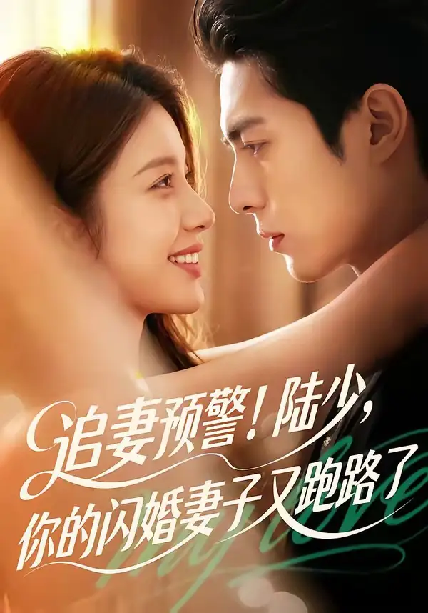 《追妻预警陆少你的闪婚妻子又跑路了（102集）Ai短剧》短剧全集免费在线看