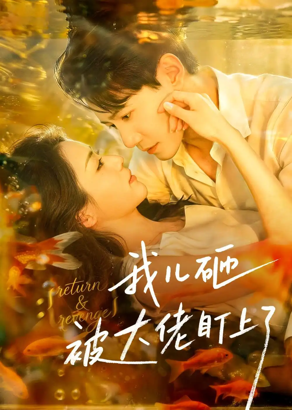 《我儿砸被大佬盯上了（67集）邱柏皓＆胡少琛》短剧全集免费在线看