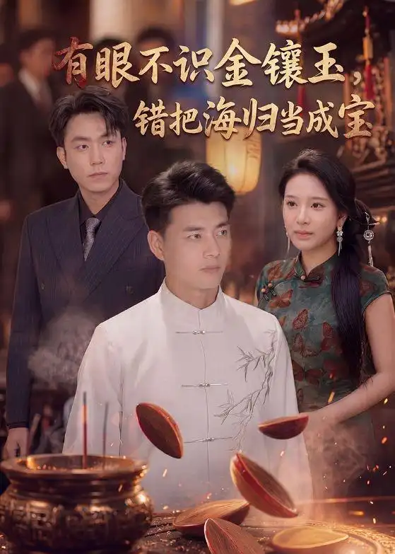 《有眼不识金镶玉错把海归当成宝（80集）李进源＆华越》短剧全集免费在线看