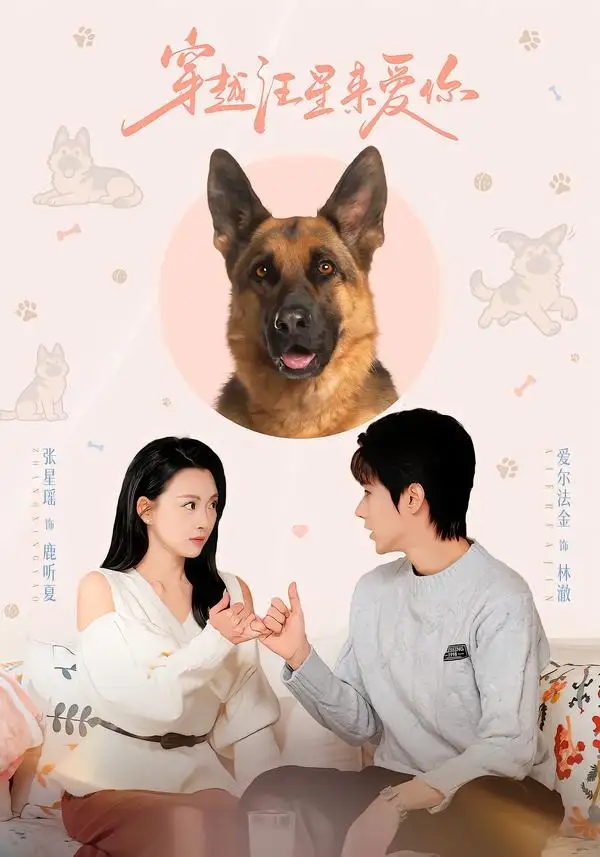 《穿越汪星来爱你（62集）爱尔法金＆张星瑶》短剧全集免费在线看