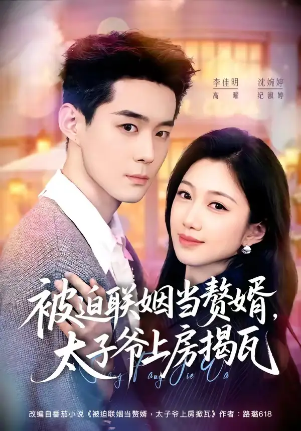《被迫联姻当赘婿太子爷上房揭瓦（80集）沈婉婷＆李佳明》短剧全集免费在线看