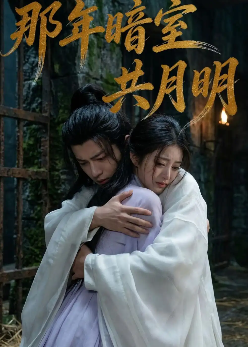《那年暗室共月明（73集）AI短剧 (2026)》短剧全集免费在线看