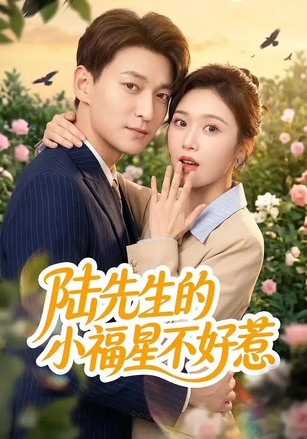 《陆先生的小福星不好惹（56集）肖涵＆何为 (2026)》短剧全集免费在线看