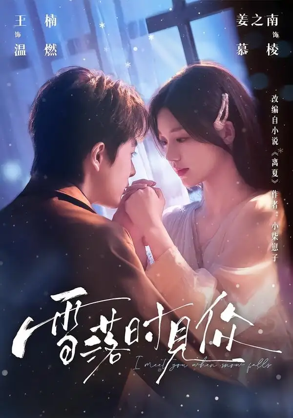 《雪落时见你（93集）王楠＆姜之南》短剧全集免费在线看