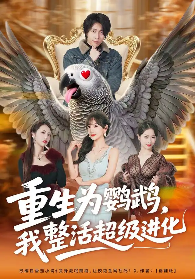 《重生为鹦鹉，我整活超级进化&重生为鹦鹉我整活超级进化（70集）王钰威＆王琳惠》短剧全集免费在线看