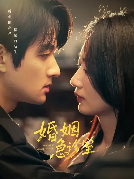 《婚姻急诊室（20集）赵子麒&林子煊》短剧全集免费在线看