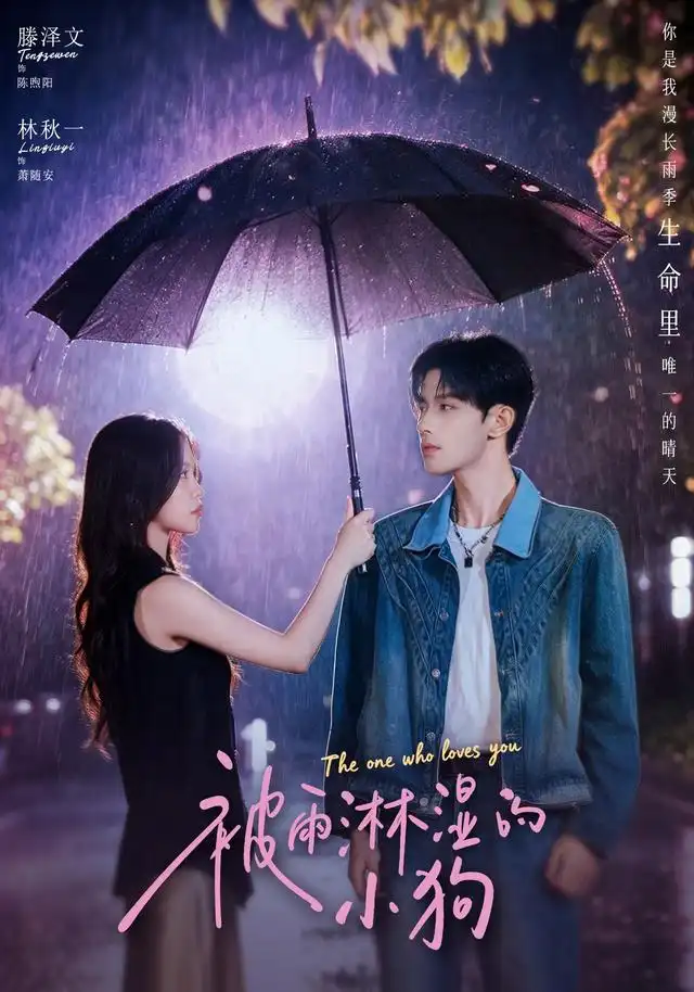 《被雨淋湿的小狗（80集）林秋一＆滕泽文》短剧全集免费在线看
