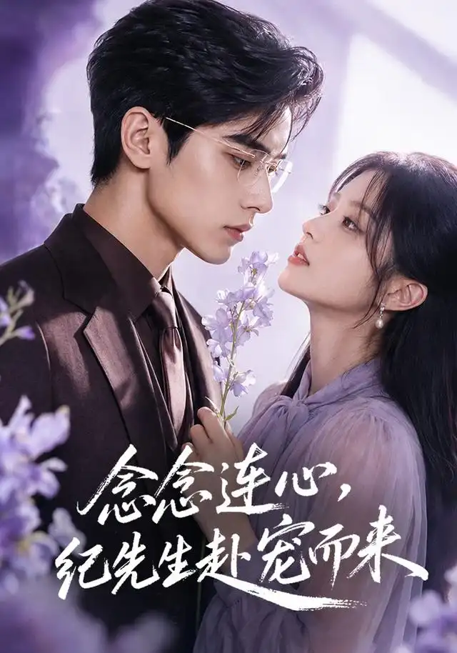 《念念连心，纪先生赴宠而来&念念连心纪先生赴宠而来（92集）AI短剧》短剧全集免费在线看