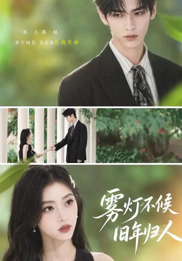 《雾灯不候旧年归人（50集）AI短剧》短剧全集免费在线看
